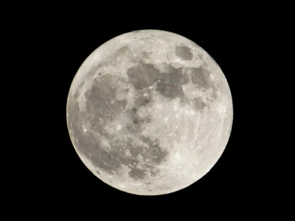 Falleció La Luna A Los 31 Años